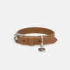 Neula Confidence Vegan Leather Dog Collar Walk Set-Collar & Leash Set-Neula- Silver Circle Pets