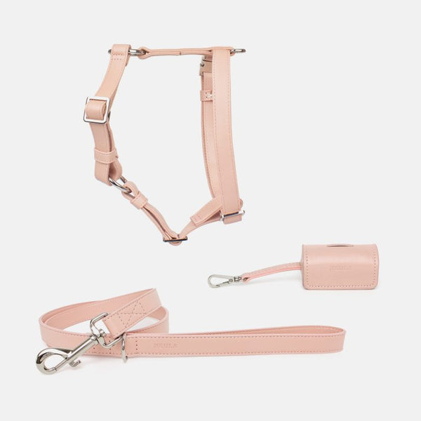 Neula Kindness Vegan Leather Dog Harness Walk Set-Harness & Leash Set-Neula- Silver Circle Pets