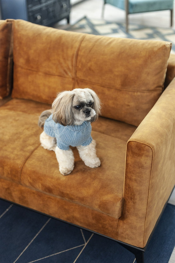 Oh Charlie BeBe’s Dog Sweater-Dog Jumper-Oh Charlie- Silver Circle Pets