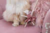 Oh Charlie Cat Toy-Cat Toys-Oh Charlie- Silver Circle Pets