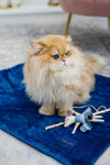 Oh Charlie Cat Toy-Cat Toys-Oh Charlie- Silver Circle Pets