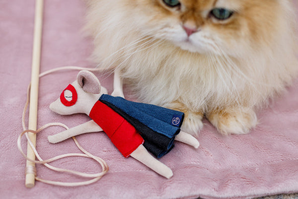 Oh Charlie Cat Toy-Cat Toys-Oh Charlie- Silver Circle Pets