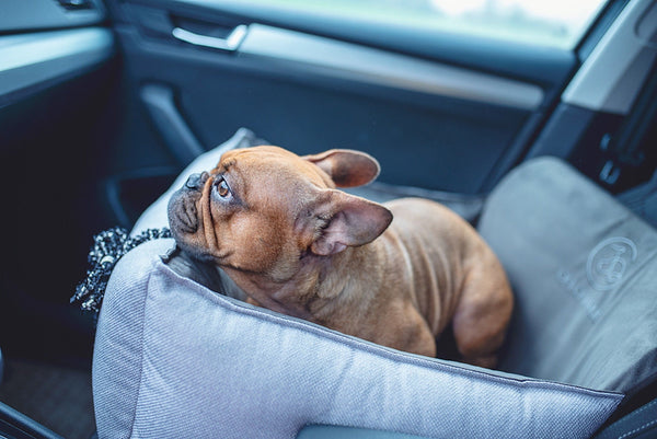 Oh Charlie Dog Car Seat Bed Elite-Dog Car Seat-Oh Charlie- Silver Circle Pets
