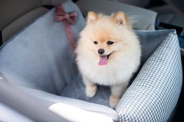 Oh Charlie Dog Car Seat Bed Finessa-Dog Car Seat-Oh Charlie- Silver Circle Pets
