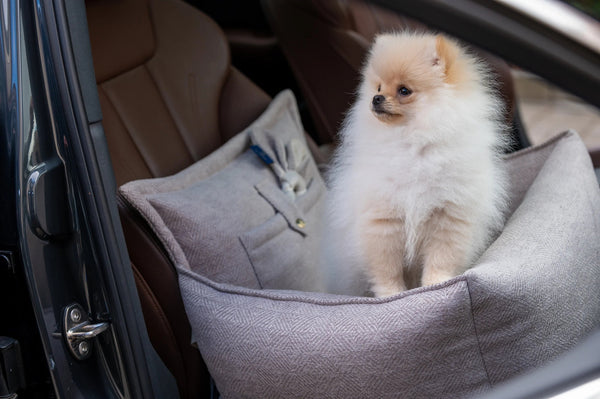 Oh Charlie Dog Car Seat Bed Florence-Dog Car Seat-Oh Charlie- Silver Circle Pets