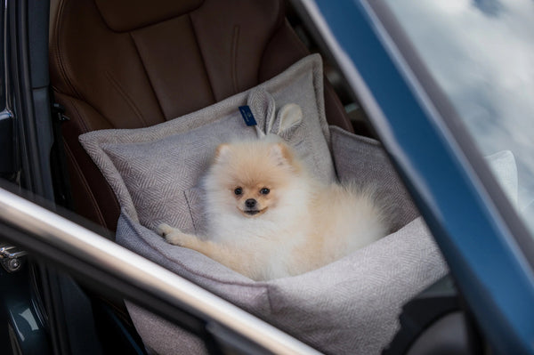 Oh Charlie Dog Car Seat Bed Florence-Dog Car Seat-Oh Charlie- Silver Circle Pets