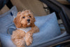 Oh Charlie Dog Car Seat Bed Florence-Dog Car Seat-Oh Charlie- Silver Circle Pets