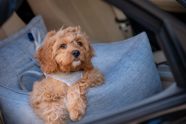 Oh Charlie Dog Car Seat Bed Florence-Dog Car Seat-Oh Charlie- Silver Circle Pets