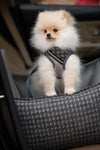 Oh Charlie Dog Car Seat Bed Prestige-Dog Car Seat-Oh Charlie- Silver Circle Pets