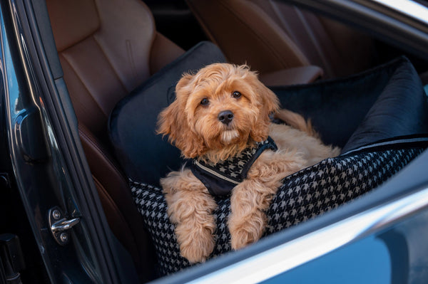 Oh Charlie Dog Car Seat Bed Prestige-Dog Car Seat-Oh Charlie- Silver Circle Pets