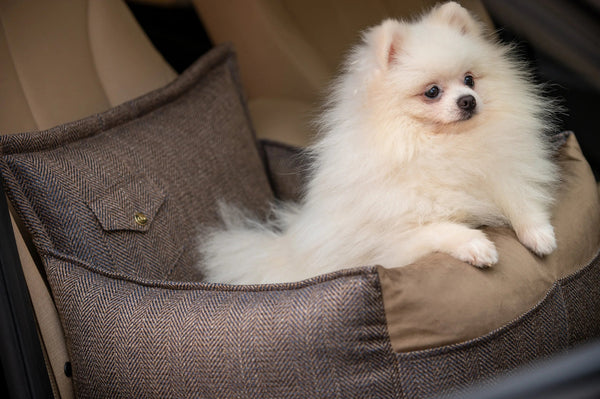 Oh Charlie Dog Car Seat Bed Winston-Dog Car Seat-Oh Charlie- Silver Circle Pets