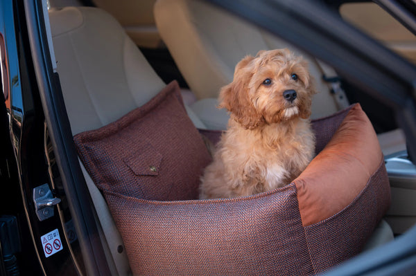 Oh Charlie Dog Car Seat Bed Winston-Dog Car Seat-Oh Charlie- Silver Circle Pets