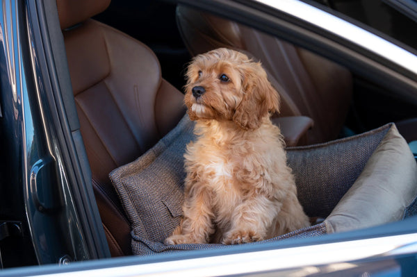 Oh Charlie Dog Car Seat Bed Winston-Dog Car Seat-Oh Charlie- Silver Circle Pets