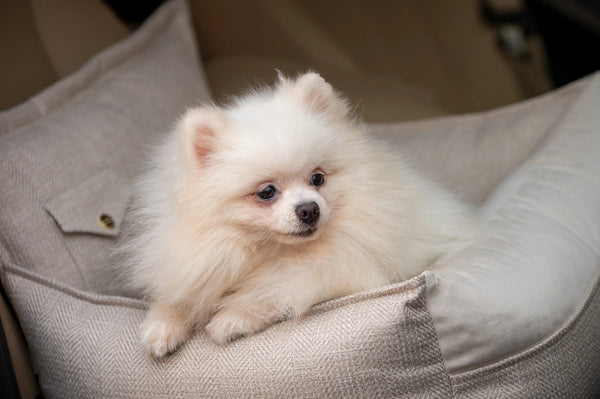 Oh Charlie Dog Car Seat Bed Winston-Dog Car Seat-Oh Charlie- Silver Circle Pets