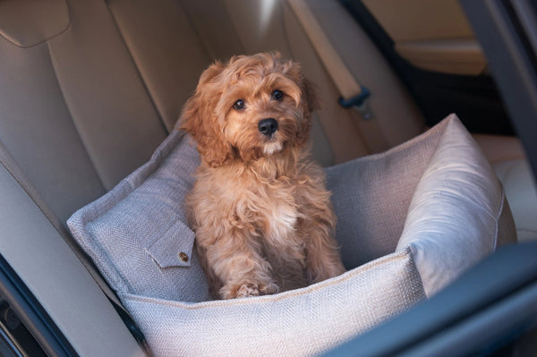 Oh Charlie Dog Car Seat Bed Winston-Dog Car Seat-Oh Charlie- Silver Circle Pets
