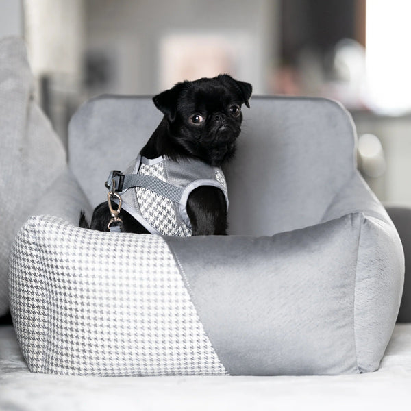 Oh Charlie Dog Car Seat Modern Finessa-Dog Car Seat-Oh Charlie- Silver Circle Pets