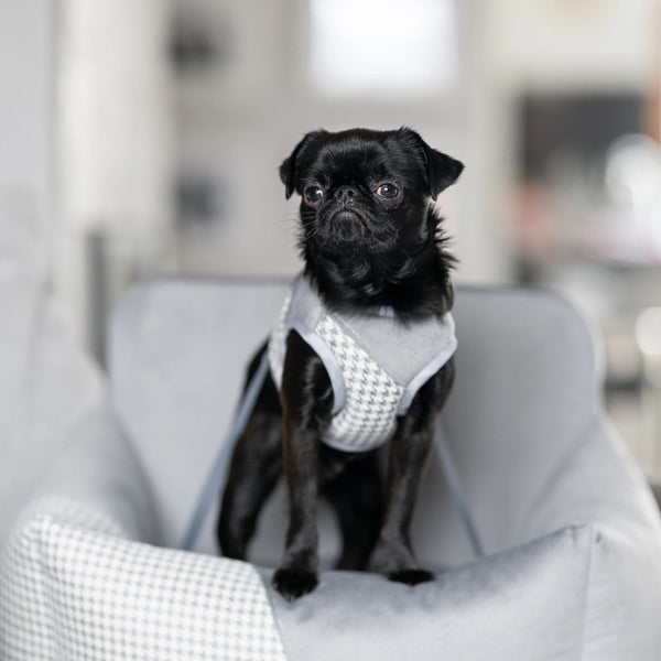 Oh Charlie Dog Car Seat Modern Finessa-Dog Car Seat-Oh Charlie- Silver Circle Pets