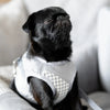 Oh Charlie Dog Car Seat Modern Finessa-Dog Car Seat-Oh Charlie- Silver Circle Pets