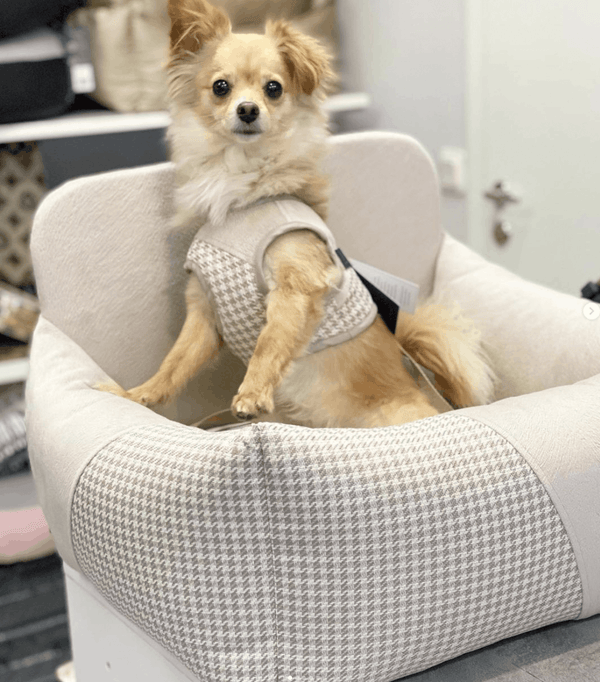 Oh Charlie Dog Car Seat Modern Finessa-Dog Car Seat-Oh Charlie- Silver Circle Pets