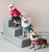 Oh Charlie Dog Sweater NeonRush-Dog Jumper-Oh Charlie- Silver Circle Pets