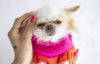 Oh Charlie Dog Sweater NeonRush-Dog Jumper-Oh Charlie- Silver Circle Pets
