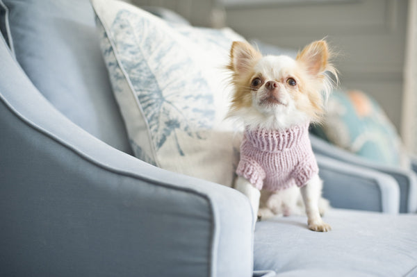 Oh Charlie Dog Sweater Precious-Dog Jumper-Oh Charlie- Silver Circle Pets