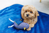 Oh Charlie Dog Toy Bird-Dog Toys-Oh Charlie- Silver Circle Pets
