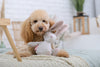 Oh Charlie Dog Toy-Dog Toys-Oh Charlie- Silver Circle Pets
