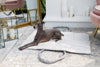 Oh Charlie Dog Travel Mat Florence-Dog Bed-Oh Charlie- Silver Circle Pets