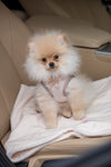 Oh Charlie Pet Blanket Magic-Pet Blanket-Oh Charlie- Silver Circle Pets