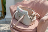 Oh Charlie Pet Carrier Essence-Dog Car Seat-Oh Charlie- Silver Circle Pets