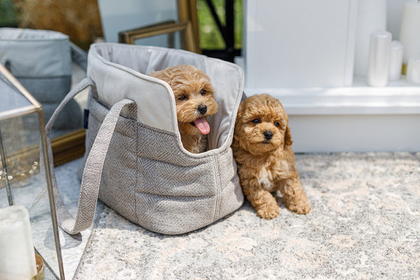 Oh Charlie Pet Carrier Florence-Dog Car Seat-Oh Charlie- Silver Circle Pets