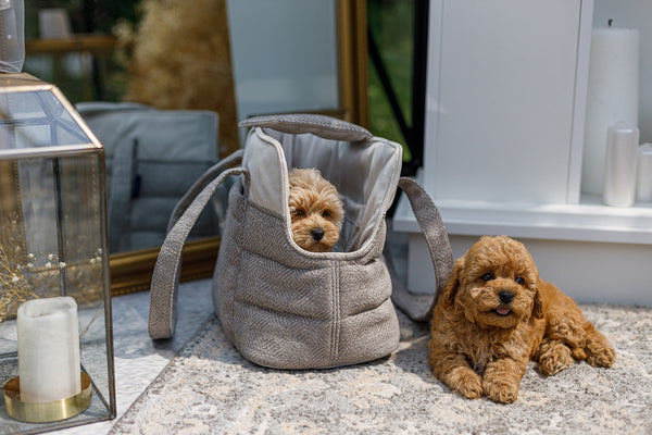Oh Charlie Pet Carrier Florence-Dog Car Seat-Oh Charlie- Silver Circle Pets