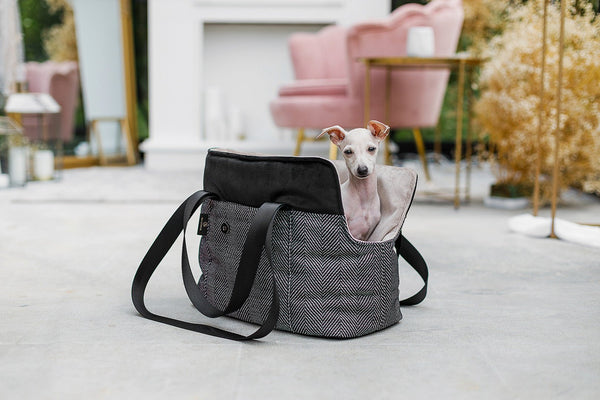 Oh Charlie Pet Carrier Hudson-Dog Car Seat-Oh Charlie- Silver Circle Pets