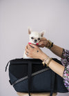 Oh Charlie Pet Carrier Moonlight-Dog Car Seat-Oh Charlie- Silver Circle Pets