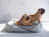 Oh Charlie Square Dog Bed Glamour Deluxe-Dog Bed-Oh Charlie- Silver Circle Pets