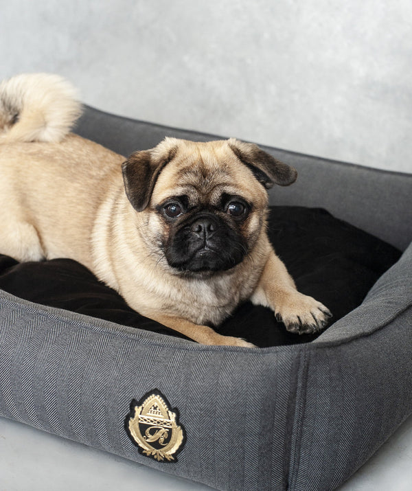 Oh Charlie Square Dog Bed Royal-Dog Bed-Oh Charlie- Silver Circle Pets
