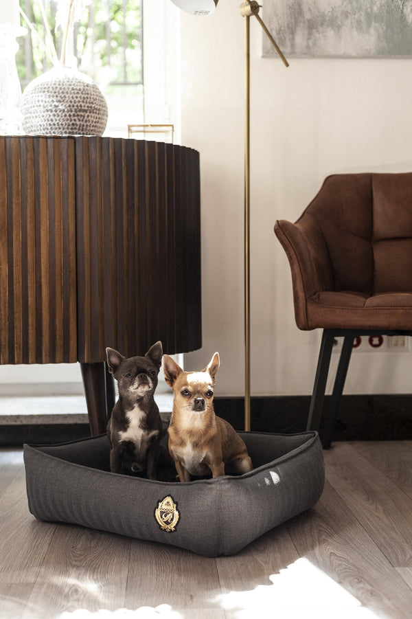 Oh Charlie Square Dog Bed Royal-Dog Bed-Oh Charlie- Silver Circle Pets