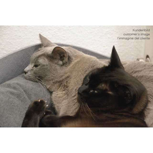 Pet Interiors ARENA Felt Designer Cat Bed-Cat Bed-Pet Interiors- Silver Circle Pets