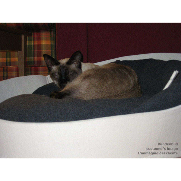 Pet Interiors ARENA Felt Designer Cat Bed-Cat Bed-Pet Interiors- Silver Circle Pets