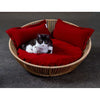 Pet Interiors Braided Cat Basket SIRO Saleen-Cat Bed-Pet Interiors- Silver Circle Pets