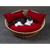 Pet Interiors Braided Cat Basket SIRO Saleen-Cat Bed-Pet Interiors- Silver Circle Pets