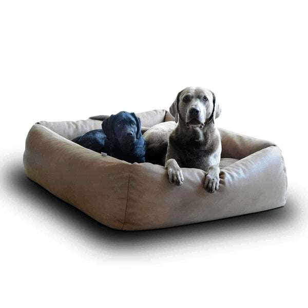 Pet Interiors Buffalo Leather Dog Bed BOOX-Dog Bed-Pet Interiors- Silver Circle Pets