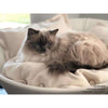 Pet Interiors Cosmo Faux Leather Deluxe Cat Bed-Cat Bed-Pet Interiors- Silver Circle Pets