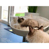 Pet Interiors Cosmo Leather Deluxe Cat Bed-Cat Bed-Pet Interiors- Silver Circle Pets