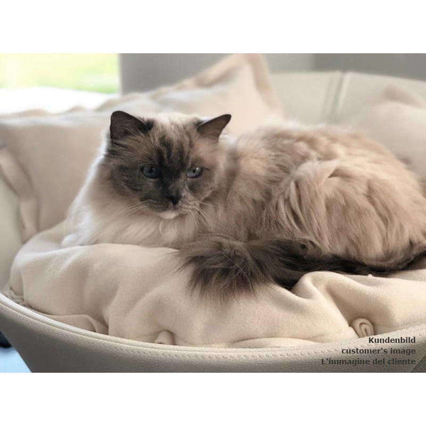 Pet Interiors Cosmo Leather Deluxe Cat Bed-Cat Bed-Pet Interiors- Silver Circle Pets