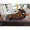 Pet Interiors Cube Faux Leather Dog Bed-Dog Bed-Pet Interiors- Silver Circle Pets