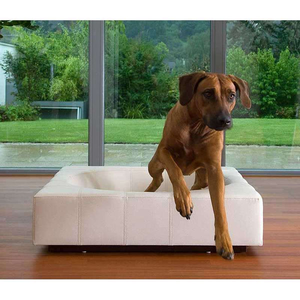 Pet Interiors Cube Faux Leather Dog Bed-Dog Bed-Pet Interiors- Silver Circle Pets