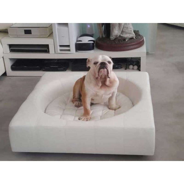 Pet Interiors Cube Genuine Leather Dog Bed-Dog Bed-Pet Interiors- Silver Circle Pets