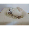Pet Interiors Cube Genuine Leather Dog Bed-Dog Bed-Pet Interiors- Silver Circle Pets